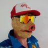 Profilbild von Mike Chris Piaz 🐷