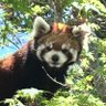 ちゃーみぃー profil fotoğrafı