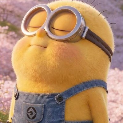 Alex Nguyễn's profile picture