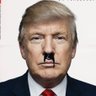 Profilbild von Donald Trumpstein
