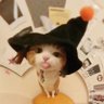 Profilbild von 保持梨猫