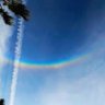 リリー's profile picture