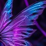 Wingshredder profil fotoğrafı