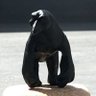 マ・レイグマー@WF2026Sありがとうございました's profile picture