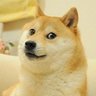 Sartham's profile picture