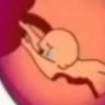 🏺Unwanted Fetus🏺's profile picture
