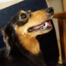 ひで's profile picture
