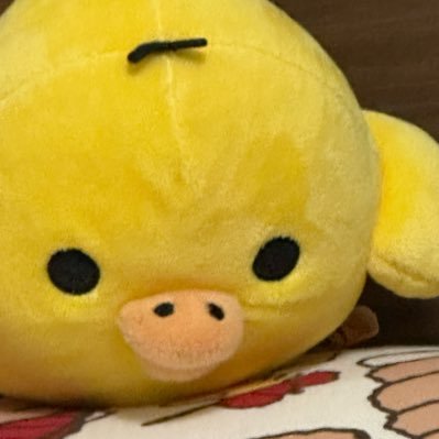 rirarira12134's profile picture