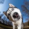 Fun videos 的头像