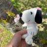 ぶーすけ profil fotoğrafı