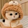 记录starluck事件 profil fotoğrafı