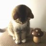 Lying's profile picture