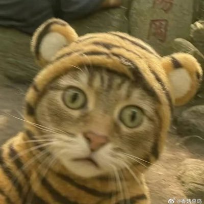 ihengshui2's profile picture