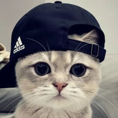 Xsuzuuu's profile picture