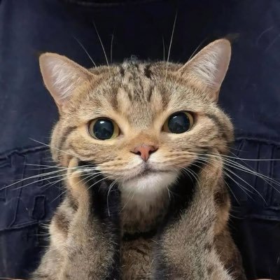 thebluethings's profile picture