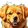 Profilbild von Nonso