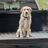 Hank profil fotoğrafı