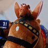 Profilbild von syacupi