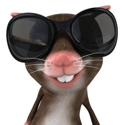 Cxpch9md's profile picture