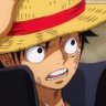 Profilbild von Zaid