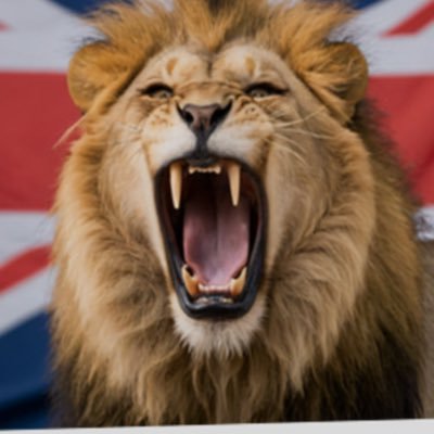 IanKop1's profile picture