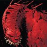 Profilbild von Wade Wilson
