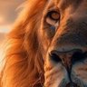 ellolL🐯 profil fotoğrafı