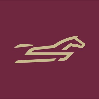 Stonestreet's profile picture
