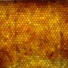 Profilbild von rizehoney