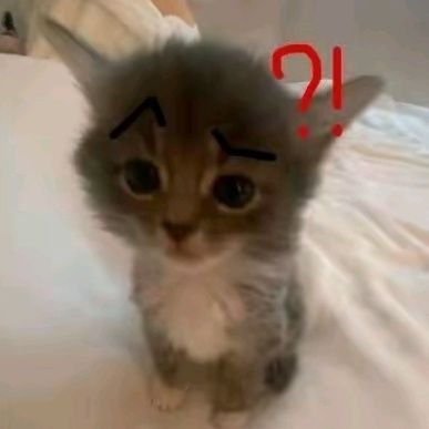 itn56_ha's profile picture