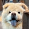 Brian's profile picture