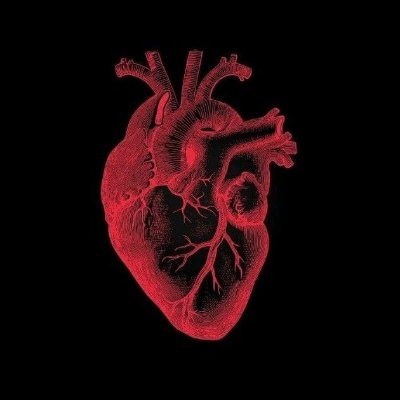 Reescreveriam's profile picture