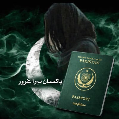 MahamPmln's profile picture