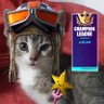 zxchfnr's profile picture