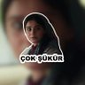 Birfandırkendisi's profile picture