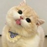 ชื่อกวยจั๊บแต่ชอบกินก๋วยเตี๋ยว 的头像