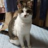 こっこ profil fotoğrafı