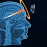 Natural Stupidity beats AI's profile picture