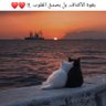 Ali Kurdi's profile picture