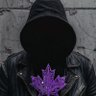 Cody's profile picture