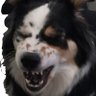 Nancy T's profile picture
