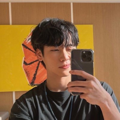 Vinhanseo's profile picture