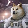 Фото профиля John Doe