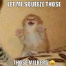 Gooner Kitty's profile picture