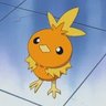 Rook the Torchic's profile picture