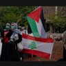 Abu Nasser's profile picture