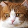 KEN's profile picture
