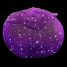 Cosmic Persimmon 的头像