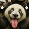 Фото профиля Panda Grl 62
