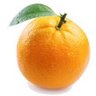 Фото профиля orange